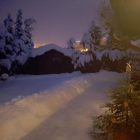 Haus Hoher Sattel Appartement Leutasch Buitenkant foto