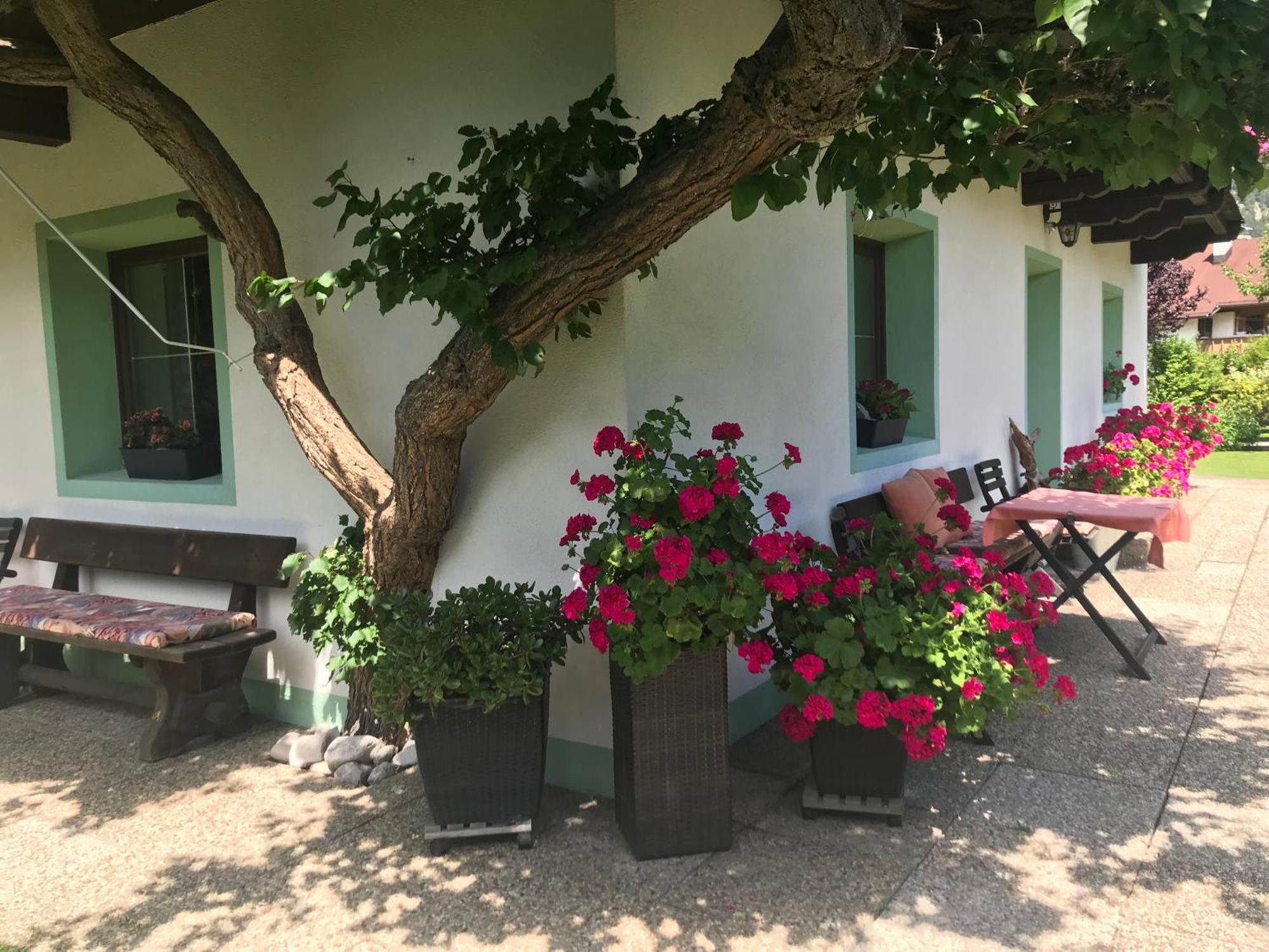 Haus Hoher Sattel Appartement Leutasch Buitenkant foto