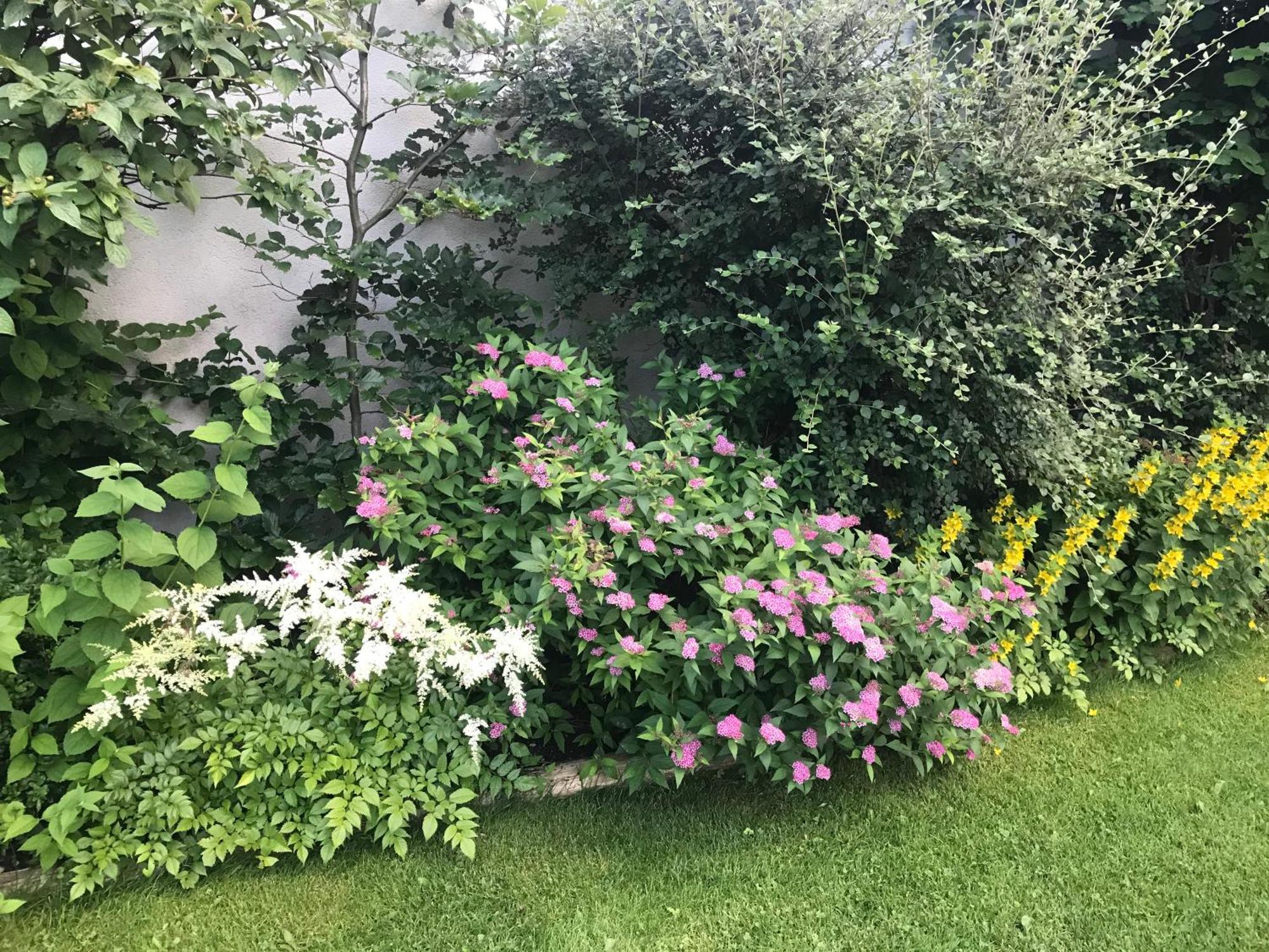 Haus Hoher Sattel Appartement Leutasch Buitenkant foto